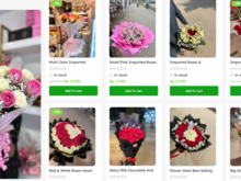 Untitled Album 2026-03-04 02:14:23