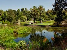 G’day from Melbourne, mates!! Shot from the Royal Botanic Garden.