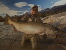 Fishermen from around the world come to this remote area to fish for Chinook salmon, which can weigh 60+ pounds, like this one I caught....