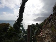 Not a great photo, but this is what a lot of the trail looks like. You spend 95% of your time watching your next step rather than admiring the view
