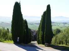 One of the cypress lined lanes outside San Quirico
