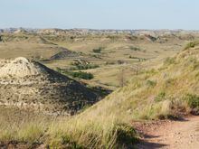How Teddy Roosevelt looked at this land and decided it was "the" place to raise cattle is beyond me. Praire Dogs yes, cattle NFW.