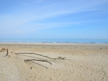 Alberoni Beach