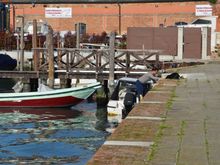 The man and the dog, part 2