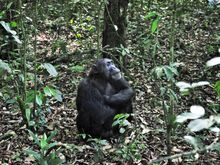 He let us approach as close as 10 feet...