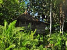 The 'honeymoon suite' overlooking the baai. A forest clearing where chimps, forest elephants and hogs forage