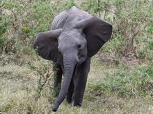 ...and one last photo