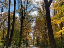 
This is the first time I’ve ever walked in this area although it’s just a couple miles from my home. It’s so quiet and pretty. I’ll definitely be back soon. 