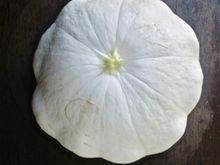 First pattypan