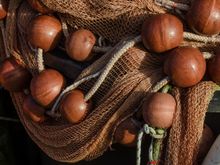 It offers much to painters and