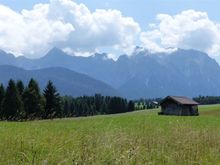 This was from that walk over the buckelwiesen, swandav, loved it! 

Thanks for the ideas, and thanks mel, for chiming in, I seem to be following in your footsteps! 