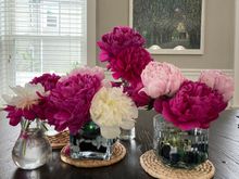 More peonies !