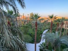 Overlooking the winding walkway 
