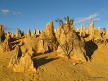 The Pinnacles, Nambung National Park, Western Australia 