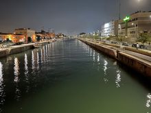 The Tiber River (the Tevere, in Fiumicino town, as it enters into the Tyrrhenian Sea)