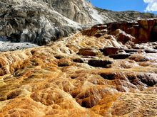 Mammoth Hot Springs 