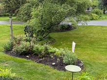 barb, this is for you for a better front garden view.