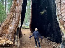 They sure are wide!!!