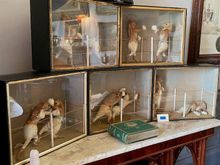 In one of the rooms, boxing squirrels (courtesy of some taxidermist)
