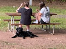 The girls hung out at the empty site next door, I guess so we couldn’t listen to their conversations?