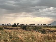 Sunset view Masai Mara