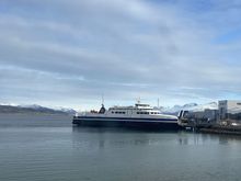 The bus waited to pick up  and drop off some passengers. 