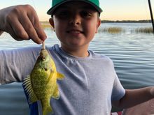  I promised this guy  tomorrow we could fish all day. Starting at 8:00 AM.