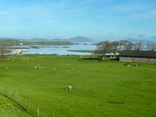 Farmlands along the coastline 