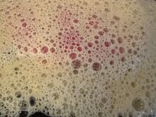 Vitello tonnato, a Piemontese summer  dish, covered with a zabaglione foam......almost like a beef carpaccio with a very subtle tuna sauce.  (20 euro)  I wish the tuna was more forward....truly it reminded me of rare roast beef.   Excellent rendition,  but would not order again.....another reminder of how important it is to read up on the various dishes in a particular restaurant, or visit often to become familiar with the menu.  After this, I was already full!!!