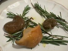 Complimentary entrante of seasonal mushrooms: Roverello