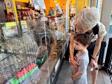 On the second morning, we took him to the transportation museum, which has lots of trains, one of his favorite things.