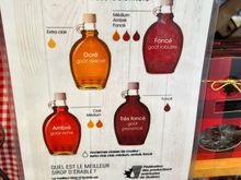 The 4 grades of Maple Syrup - golden, amber, dark and very dark.
