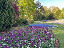 Botanic Garden