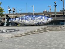 The Big Fish