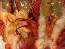 Pair of scarlet Carabinero prawns...my favorite thing to order here.   Look at the juicy inside liquid!!