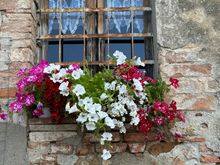 Pretty window boxes - I love the contrast of the soft colorful flowers against the old stone