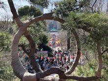 Ueno park