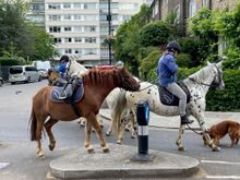 English Ubers!  Actually right around the corner from our hotel is the Hyde Park Stables.  There is still a lot of horse back riding in Hyde Park.  These particular horses left us quite a few presents as we crossed the street.  You have to mind more than the gap around Hyde Park!