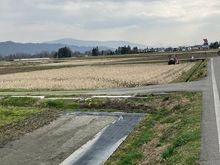 Wasabi fields