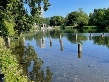 View of the Serpentine Lake looking back at the Italian Gardens