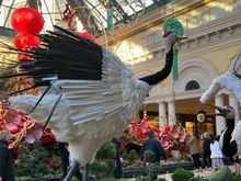 A bird I bet dcd never got a shot of.