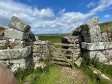 And here is the milecastle.  There was an outline of a few rooms or maybe guardhouse.  Given it's name I'm lead to believe that there was one of these every Roman mile.