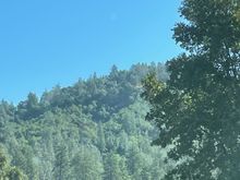 High forests line I-5 as it snakes north.