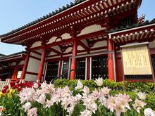 Inside Senso-ji compound