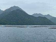 Now on the ferry to Miyajima Island (in the background). Those are oyster farms in the water.