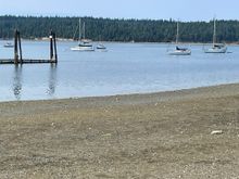 Boats in the harbor at Mystery Bay