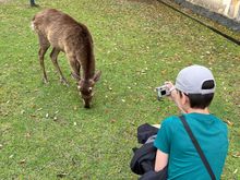 My son photographing a deer