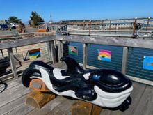  A little Orca ride for the kiddies.