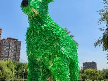 Now this is putting plastic bottles to good use!