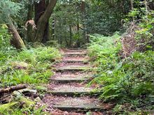 A wonderful walk into the beauty of the island 